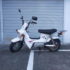 角目シャリー　CF50
