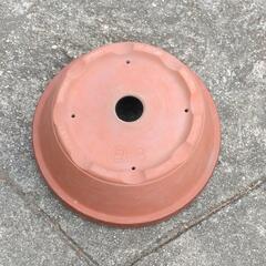 植木鉢　8号　2個の画像