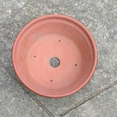 植木鉢　8号　2個の画像