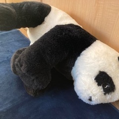 パンダ　ぬいぐるみ　親子の画像