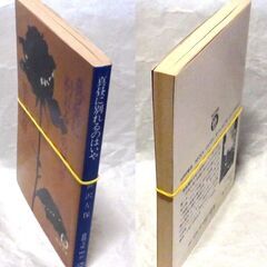 【文庫古本】笹沢佐保「真昼に別れるのはいや(初版)」・・・非常に特殊なアリバイ工作・・・の画像