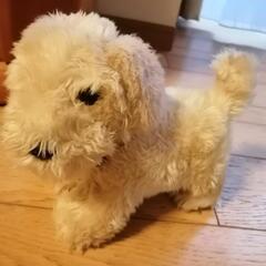 犬　ぬいぐるみ