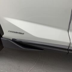 レクサスNX10,15系Gスクエアーリアルウエットカーボンカナー...