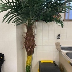 今週まで！椰子の木2本セット　造花
