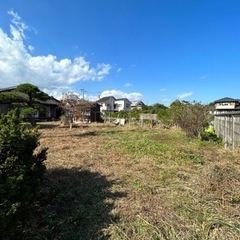 見積依頼(庭の手入れ)