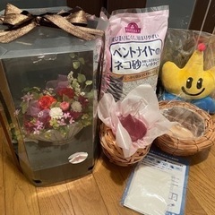カゴ　ぬいぐるみ　マスク　ブリザードフラワー　猫の砂