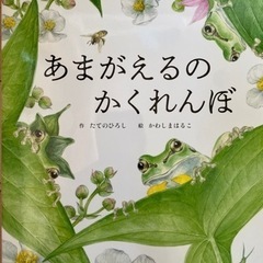 値下げ【とても美品！】絵本 あまがえるのかくれんぼ