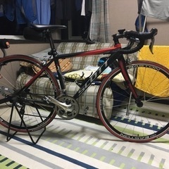 ART】朝隈敏彦真筆(ふくろう)特寸法