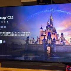 オリオンチューナーレステレビ　65インチ　SAUD651の画像
