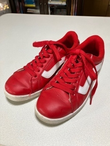 VANS レディースシューズ 23.5cm