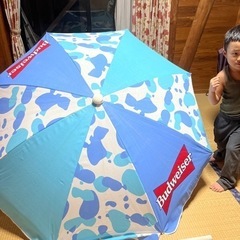 綺麗なビーチパラソル　帆布　ハイレグの水着の画像
