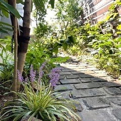 ご自宅で実践！庭造りワークショップ開講！の画像