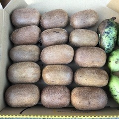 キウイフルーツ（緑）＆ポポー