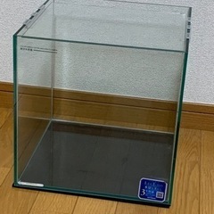 30cmキューブ水槽　1の画像