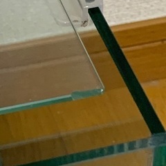 30cmキューブ水槽　1の画像