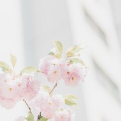 🍀コミュニティメンバー募集🍀あなたの苦労した経験を、誰かの役に立...