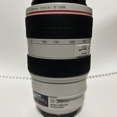 Canon キャノン EF 70-300mm F4-5.6L IS USM