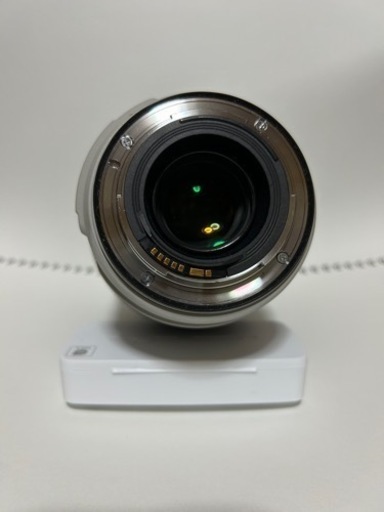 Canon キャノン EF 70-300mm F4-5.6L IS USM