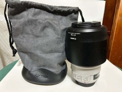 Canon キャノン EF 70-300mm F4-5.6L IS USM