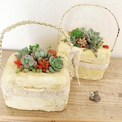 山梨モルタルデコ教室nico garden craftの画像