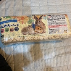 【受付終了】10月末まで掲載　小動物床材:松　ハムスター　うさぎ　チンチラ　ハリネズミ　モルモットなどの画像
