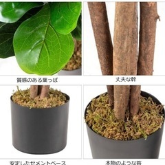 フェイクグリーン　造花の画像