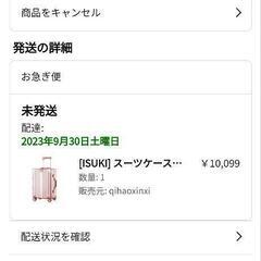 キャリーバッグ