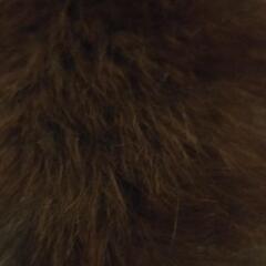 （レディース）ファー付きロングコートの画像