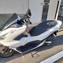 2023年 PCX160の画像