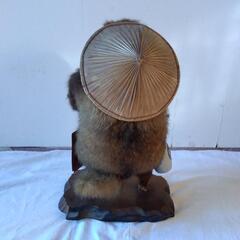 タヌキの剥製の画像