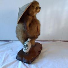 タヌキの剥製の画像