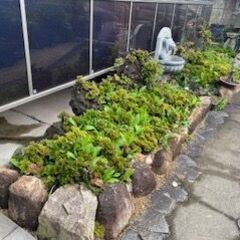 空き地の草刈り・お庭と家周りの草むしり・剪定 - たつの市
