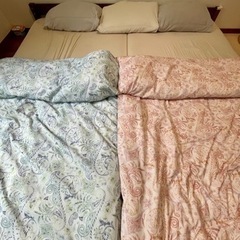 取引中🌼シングル掛け布団の画像