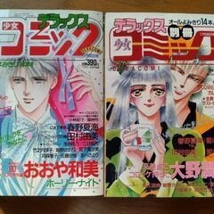 1989年古いデラックス別冊少女コミック　小学館　少女マンガ雑誌6冊①の画像