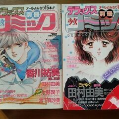 1989年古いデラックス別冊少女コミック　小学館　少女マンガ雑誌6冊①の画像