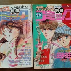 1989年古いデラックス別冊少女コミック　小学館　少女マンガ雑誌6冊①の画像