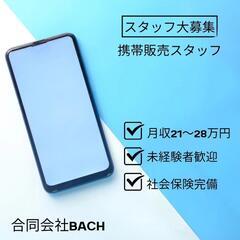 《正》【急募】未経験の方大歓迎！！手取り月収21万〜28万円以上 家電量販店の携帯販売スタッフの画像