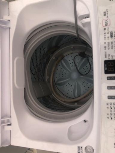 2020年製 ハイセンス 5.5kg洗い洗濯機 HW-E5503