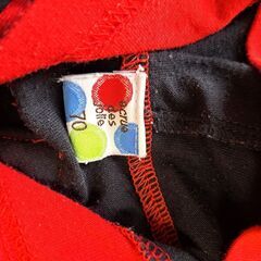 【これを見つけた人はラッキー！】 てんとう虫セットの画像