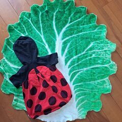 【これを見つけた人はラッキー！】 てんとう虫セットの画像