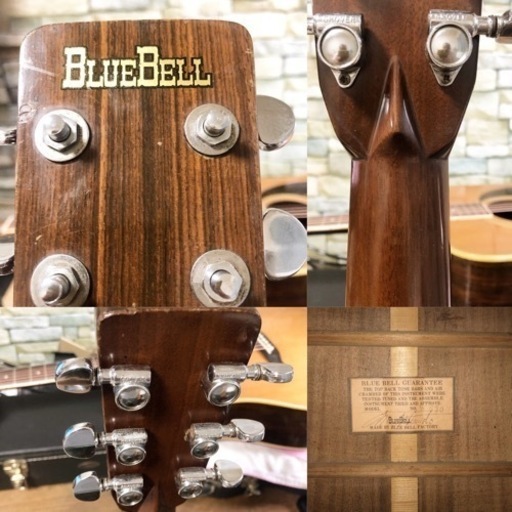 弦楽器、ギター BLUE BELL W-600     Made By TAMA