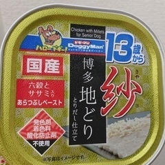 ドギーマン　13歳からのウェットフード×1