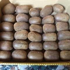 キウイフルーツ　30個　小さいです