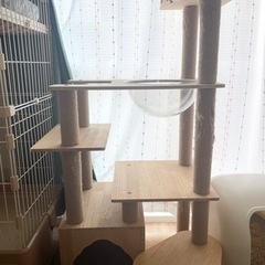 【決まりました！】木製キャットタワー  値下げしました！