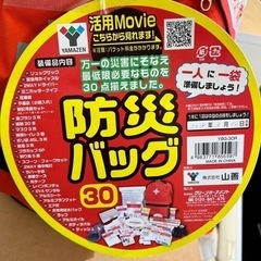【防災バッグ】【管理番号11810】の画像
