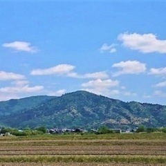 菊芋パウダー　※お試し価格の画像