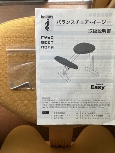 リボ社製バランスチェアー　美品　値下げ中　決まりました