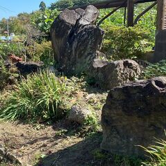 庭石を差し上げます。