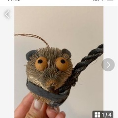 クリスマスオーナメント