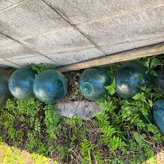 ばら売り可！！6個あります 早い物勝ち！引き取り限定☆ビンテージ